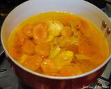 Persian chicken and dried apricot stew recipe step 7 photo