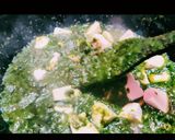 A picture of step 5 of Restraunt style PALAK PANEER.
