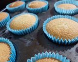 Foto del paso 5 de la receta: Magdalenas Patrias