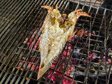 กุ้งมังกรอบชีส