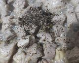 รูปขั้นตอนการทำที่ 2 ของ หมูฮ้อง ประยุกต์ By SanD