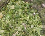 A picture of step 1 of Chutney.