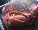 Une image de l'étape 3 de Table de Noël  (assiette d’homard).