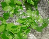 A picture of step 1 of Drumstick Leaves Thalipitha.