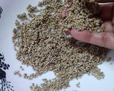 A picture of step 1 of Bajre ki khichdi (pearl millet khichdi).