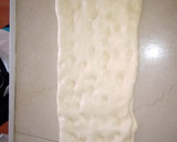 Foto del paso 9 de la receta: Sacramento de Grasa