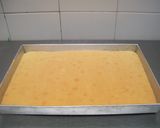 Foto del paso 1 de la receta: Tarta mousse de durazno y limón