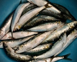 Foto del paso 1 de la receta: Sardinada