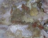 صورة لخطوة 1 من وصفة سمك بالفرن🦐