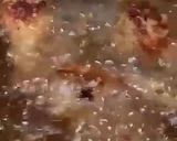 Foto langkah ke 2 dari resep Ayam Goreng Bawang Putih.