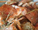 Foto langkah ke 5 dari resep Kepiting Rajungan Pedas.