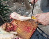 Foto del paso 2 de la receta: Mi mejor cazuela de Gallo Que viva la cocina chilena 🇨🇱 recetario 2023