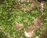 लखनवी गलौटी कबाब(lucknawi galouti kabab recipe in Hindi) रेसिपी चरण 3 फोटो