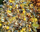 Foto del paso 4 de la receta: Huitlacoche con flor de calabaza (La Bella y la Bestia)