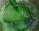 Foto langkah ke 8 dari resep Es Lumut Susu Daun Kelor.