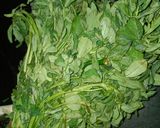 स्ट्रीट स्टाइल गुजराती मेथी थेपला(street style gujarati methi thepla recipe in hindi) रेसिपी चरण 1 फोटो