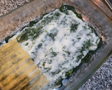 Foto del paso 5 de la receta: Lasagna de espinaca y salsa blanca