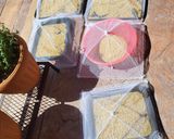 Foto del paso 10 de la receta: Huachales