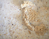 Foto del paso 1 de la receta: Helado de avellana (en molde Lékué)