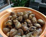 Foto langkah ke 2 dari resep Tumis kerang dara pedas.