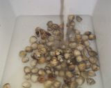 Foto del paso 1 de la receta: Berberechos naturales