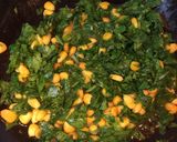 A picture of step 3 of Spinach Sweet Corn Sandwich.
