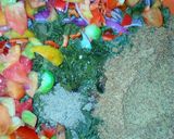 A picture of step 3 of Moringa salad.