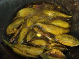 Bitter gourd
