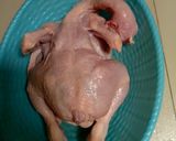 Foto langkah ke 2 dari resep Ayam bekakak dapur mama ss.