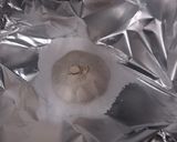 Foto del paso 1 de la receta Súper costilla de cerdo