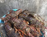 Foto langkah ke 1 dari resep Lobster kuah santan 🦞👍.