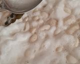 Foto del paso 3 de la receta: Porotos pallares a la provenzal