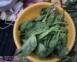 A picture of step 1 of Sarson Da Saag.
