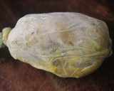 Foto del paso 5 de la receta: Pechuga de pollo y calabaza al vapor