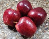 Foto del paso 1 de la receta: 🍎Cuadrados nube de manzana y canela - 4 ingredientes🍎 #Sinazúcar #Sinhorno🍎 Receta viral #11🍎