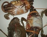 Foto langkah ke 1 dari resep Kepiting saos Padang 🦀.