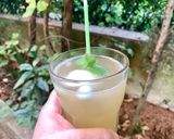 Foto del passaggio 6 della ricetta Te’ al limone con granita