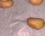 A picture of step 3 of Italian Smashed Potato.