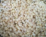 A picture of step 13 of Mugaacha Birda.