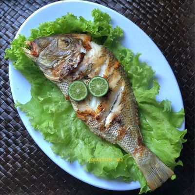 Langkah 4
