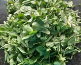 A picture of step 1 of Lasuni methi or Garlic methi.