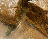 Foto del paso 6 de la receta: Carrot cake con nueces🥕