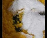Foto del paso 2 de la receta: Mermelada de durazno!