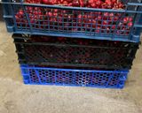 Une image de l'étape 1 de Confiture de cerises du jardin.