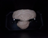 Foto del paso 2 de la receta: Pan de molde sin corteza 100% espelta integral con masa madre