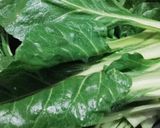 Foto del paso 2 de la receta: Hoy: Canelones de verdura y ricota!