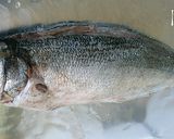 A picture of step 1 of Samak Mashwi (Arabian spiced fish).