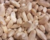 Foto del paso 5 de la receta: Fabas con jabalí