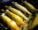 Shorshe Posto Parshe/Mullet fish in mustard poppy seed paste recipe step 1 photo