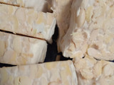 Tempe Bakar